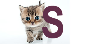 Kattennamen eindigend op S | NaamWijzer dierennamen